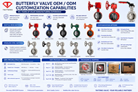 Vanne papillon à vis sans fin D371X avec siège EPDM/NBR, disque en acier inoxydable 304, PN16 DN50-DN300, certifiée API609 ISO5211 CE ISO9001
