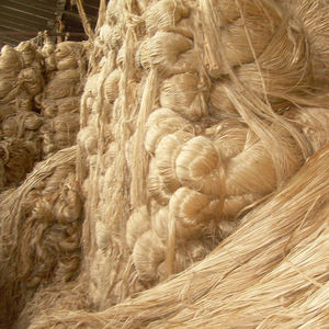Fil de jute brut non blanchi non teint, fibre résistante pour la production de cordes et de ficelles, applications industrielles, chaîne d'approvisionnement mondiale, export 65 - Product Image 6