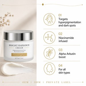 Crème <span class=keywords><strong>Visage</strong></span> Éclaircissante à la Niacinamide et à l'Alpha Arbutine pour les <span class=keywords><strong>Taches</strong></span> Pigmentaires et les <span class=keywords><strong>Taches</strong></span> <span class=keywords><strong>Brunes</strong></span>, Soin Éclaircissant, OEM, Marque Privée, Vente en Gros - Product Image 2