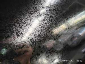 ผู้จัด<span class=keywords><strong>จำหน่าย</strong></span>ขดลวดเหล็กชุบสังกะสีพร้อมอลูมิเนียม - Product Image 6