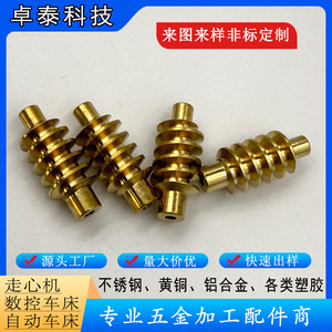 Nonstandard Copper <b>Worm</b> Gears Cnc Lathe Machined Finishing Accuracy For Motor Applications - Product Image 4