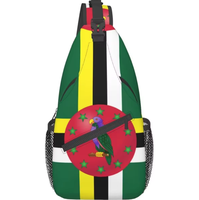 Sac à bandoulière drapeau camerounais, sac à dos croisé patriotique grande capacité pour voyage, randonnée, sac de poitrine pour homme, promotionnel