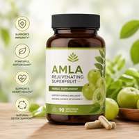 Capsules de suppléments vitaminiques à base de plantes Amalaki, soutien immunitaire, vitamine C, végétalien, sans gluten, casher, ayurvédique, antioxydant, non-OGM, ODM