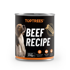 petsmart halloween cat