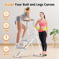 Appareil de fitness multifonctionnel pliable pour l'intérieur, idéal pour la maison : Stepper et simulateur d'escalade