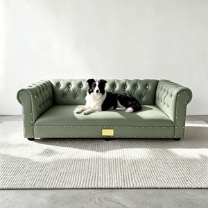 OEM Custom Velvet Fabric Pet <b>Sofa</b> <b>Bed</b> Solid Wood Frame Luxury Raised <b>Dog</b> <b>Bed</b> Washable Indoor Premium Cat <b>Bed</b> For Small Pets - Product Image 1
