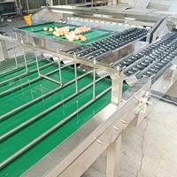 Eieren sorteermachine / Eieren was- en sorteermachine / Eieren sorteermachine