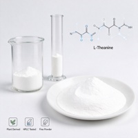 Poudre de L-Théanine Naturelle Standardisée, Acide Aminé Issu du Thé Vert pour la Formulation de Compléments Alimentaires, Vente en Gros de L-Théanine en Vrac 1kg