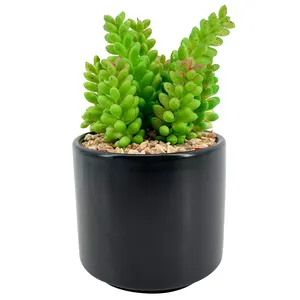 Mini piante succulente artificiali succulente di plastica della tabella all'ingrosso Mini per la decorazione all'aperto dell'interno In vaso di plastica