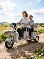Tricycle électrique intelligent haut de gamme et écologique, facile à manier et plein de plaisir, un assistant indispensable pour votre famille