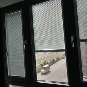 Between-the-Glass Blinds for Windows