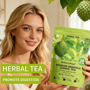 Soursop graviola <span class=keywords><strong>ชา</strong></span>ใบดอกไม้ผสมถุงธรรม<span class=keywords><strong>ชา</strong></span>ติอาหารเสริมเพิ่มการเผาผลาญอาหารสนับสนุนผู้ใหญ่ในสต็อก - Product Image 2