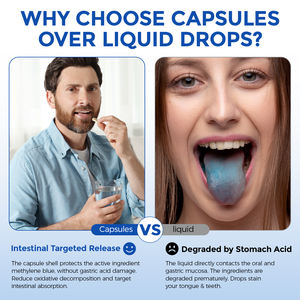 OneBtanicl Label pribadi Vegan, suplemen makanan meningkatkan penyerapan metilen biru kapsul untuk dukungan energi kesehatan seluler - Product Image 5