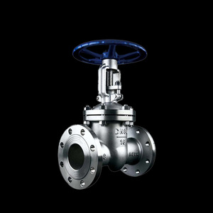 Válvula de Compuerta de Acero Inoxidable con Brida Manual Bidireccional Z41H, Estándar Americano para la Industria Petroquímica; Válvula sin Vástago Z40Y-16C - Product Image 3