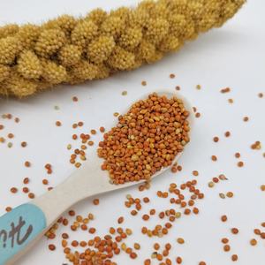 Hete Verkopende Kleefgraan Gierst In Schil Van Hoge Kwaliteit Met Goedkope Groothandelsprijs - Product Image 4