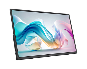 Moniteur <span class=keywords><strong>portable</strong></span> professionnel et gaming <span class=keywords><strong>MSI</strong></span> PRO MP165 E6 15,6\" FHD 60Hz 4ms avec écran IPS 1080P et sortie vidéo Type-C HD-MI - Product Image 1