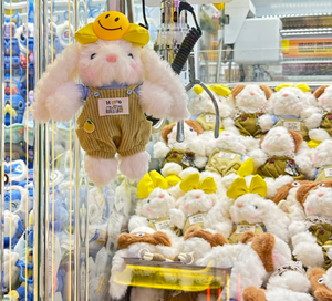 Peluches de Alta Calidad para Máquinas de Garras de 7 y 8 Pulgadas, Premios para Juegos de Grúa, Lindos Animales de Peluche para Máquinas de Garras - Suministro al por Mayor - Product Image 6