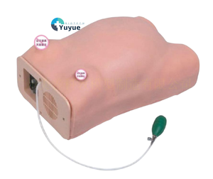 Tıbbi bilim için hamile kadınlar için bilgisayarlı anne muayene simülasyon modeli Prenatal Checkup jinekolojik sınav - Product Image 1