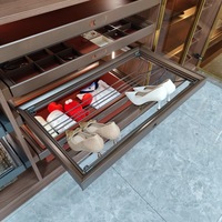 Armoire en métal mocha au design moderne de luxe, prix d'usine RMS, avec porte-chaussures coulissant et tiroir extractible pour salon