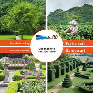 Taille-haie et débroussailleuse multifonctionnelles à <span class=keywords><strong>essence</strong></span> deux temps pour petites branches - Product Image 3