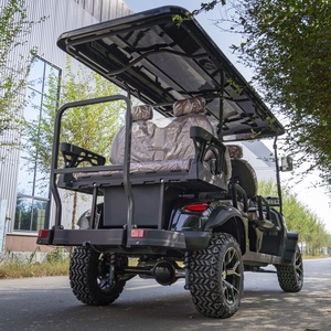 Carrito de golf elevado de lujo para caza, carrito de golf de litio de 48V 72V, nuevo buggy para adultos - Product Image 3
