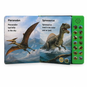 Libro Sonoro Interattivo per Bambini con Dinosauri, Libro Musicale con Suoni Realistici, Pulsanti a Pressione, OEM Personalizzato, Produzione ODM - Product Image 5