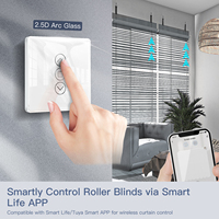 Sakelar Tirai Panel Sentuh Kaca Lengkung 2.5D WiFi Pintar untuk Tirai Gulung, Kontrol Jarak Jauh via Aplikasi, Bekerja dengan Alexa Google Home