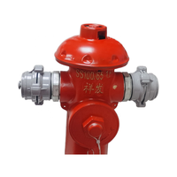 Hydrant d'incendie extérieur de type poteau au sol en fonte ductile, équipement de lutte contre l'incendie DN100 avec joint en caoutchouc EPDM pour routes urbaines