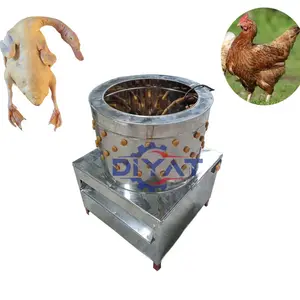 Meilleure vente verticale volaille slipemaster poulet épilation machine canards plumeuse machine