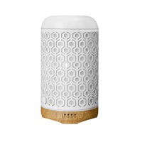Diffuseur d'arômes métallique 24V pour e-commerce transfrontalier, humidificateur ultrasonique 250 ml avec fonction de minuterie et silencieux, essentiel