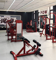 Machine à exercices ZY Straight Arm Fly avec pile de poids de 75 kg pour entraînement de force des pectoraux, équipement pour salle de sport commerciale et centre de fitness