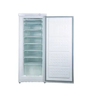 250L Putih Opsional Pegangan Home Single Solid Door Vertikal Upright Freezer