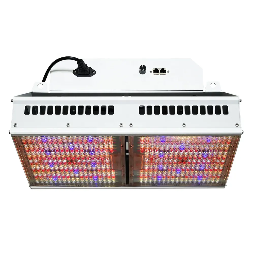 Maaadro High Quality Led Grow Light 650w Samsung351H mix O sram660nm and Blue Chips for Indoor Growing