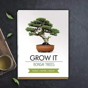 Kit de jardinagem interior exclusivo para crianças, kit inicial de árvores bonsai para jardim de mini-plantio