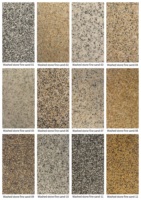 Revêtement Liquide RHEIN en Résine pour Pierre Lavée, Durable, Séchage Rapide, pour Allées, Sols et Murs, Perméable à l'Eau, 5-8kg/m, Inoxydable
