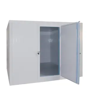 High quality cold room storage automatic fast freezer manufacturer for vegetable mango seafood