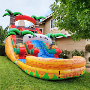 Outdoor backyard party bouncy castle <b>inflatable</b> wild thing water slide commercial for kids - Product Image 2