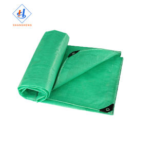 2X2 M telone verde impermeabile mobili Caravan copertura foglio nuovo occhielli impermeabili telone - Product Image 1