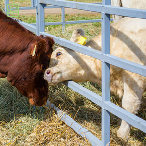 Pannelli per Recinti per Bestiame Resistenti, Recinzione Agricola Zincata Personalizzata, Recinto Mobile Portatile per Cavalli, Barriera per Animali da Allevamento - Product Image 1