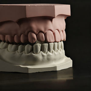 Di alta qualità DTY modello dentale colata Super-duro gesso dentale in polvere gesso dentaria pietra 12-15CM fluidità superficie liscia - Product Image 6