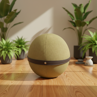Chaise à billes haute performance pour l'entraînement du tronc, la posture active et le bureau, avec logo personnalisé