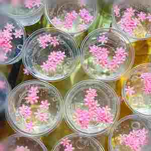Creamy Bulk GalaPersonalized 12-Color Crystal Clear Fruit Mud <b>Plasticine</b> Slime Set Unicorn Cherry Jelly Fidget Toys - Product Image 4
