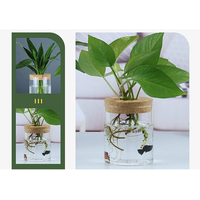 Vase cylindrique en verre transparent fait à la main moderne de qualité en gros 3 pièces ensemble de terrarium en verre pour la décoration intérieure Vase de table