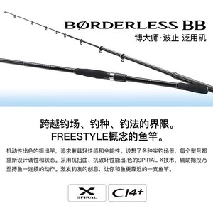 Canne à pêche télescopique en carbone pour surfcasting sans bordure 3,8 m, action moyenne rapide, pour pêche en mer, guides SIC, 2,0 kg - Product Image 4