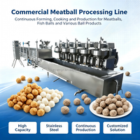 Machine voor het vormen van gehaktballen, machine voor het maken van visballen, verstelbare gehaktbal diameter voor restaurants en voedingsfabrieken