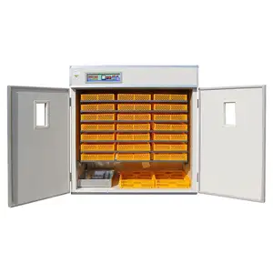 Equipamento automático para incubadora de frango e avicultura com ovos 1848 para venda