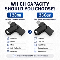 Lot de clés USB modèles variés 128 Go 256 Go pour cadeaux d'entreprise, achat en gros pour revendeurs, pack de disques portables, faible MOQ, commande d'essai 50 pièces