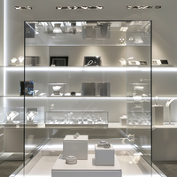 Vitrine à bijoux en acier inoxydable GZowin avec verre haute transparence et éclairage LED - Dimensions durables et personnalisables pour la vente au détail de marques