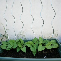 Estacas de Jardín en Espiral para Tomates y Plantas Trepadoras, Soporte Resistente para Rosas y Enredaderas, Interior/Exterior, 5.5-8mm de Diámetro