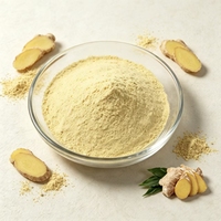 Poudre de Gingérol Naturelle de Haute Pureté en Gros pour Matière Première Alimentaire et Boissons Fonctionnelles